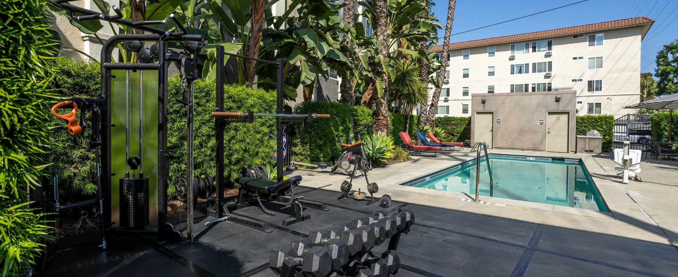 Fitness area and pool